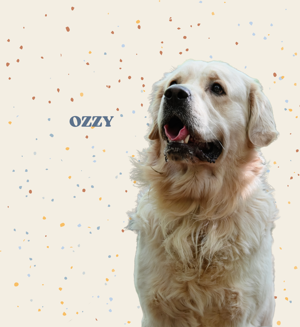 Virtuele adoptie - Ozzy