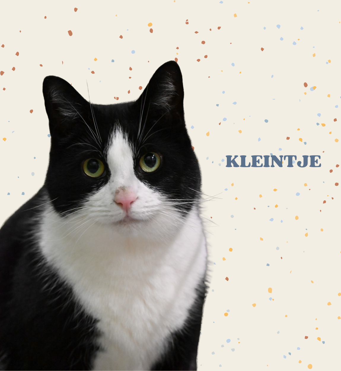 Virtuele adoptie - Kleintje