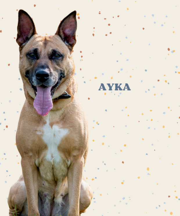 Virtuele adoptie - Ayka