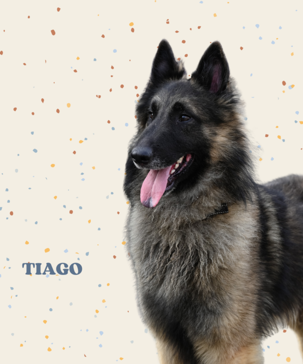 Virtuele adoptie - Tiago